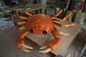 Crab Resin Outdoor Abstract Sculpture Wall Or Interior Decoration