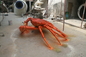 Marine Crab FRP Animal Sculpture Museum Display Custom To Map