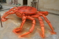 Marine Crab FRP Animal Sculpture Museum Display Custom To Map